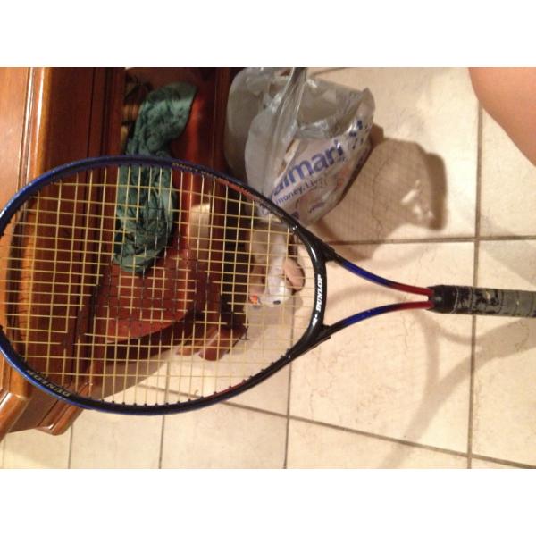 Dunlop powerflex extra long