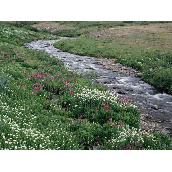 BLX six one tour (american version)