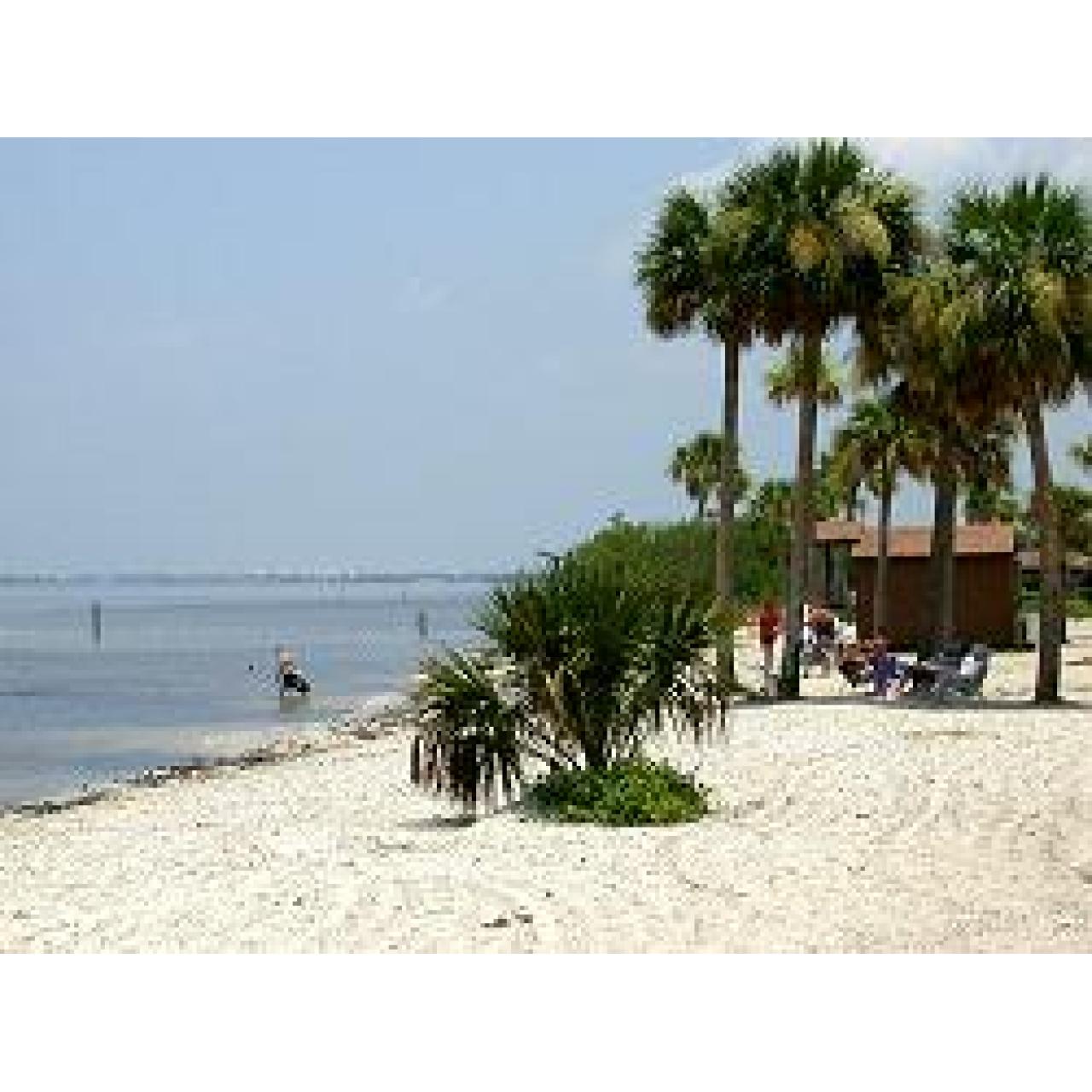 Newer Babolat Pure Drive Rodick